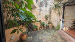 The patio